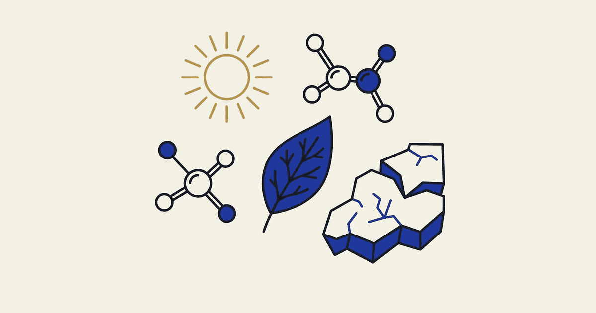 A sun, molecules, ice, and leaves arranged as a flat scientific illustration