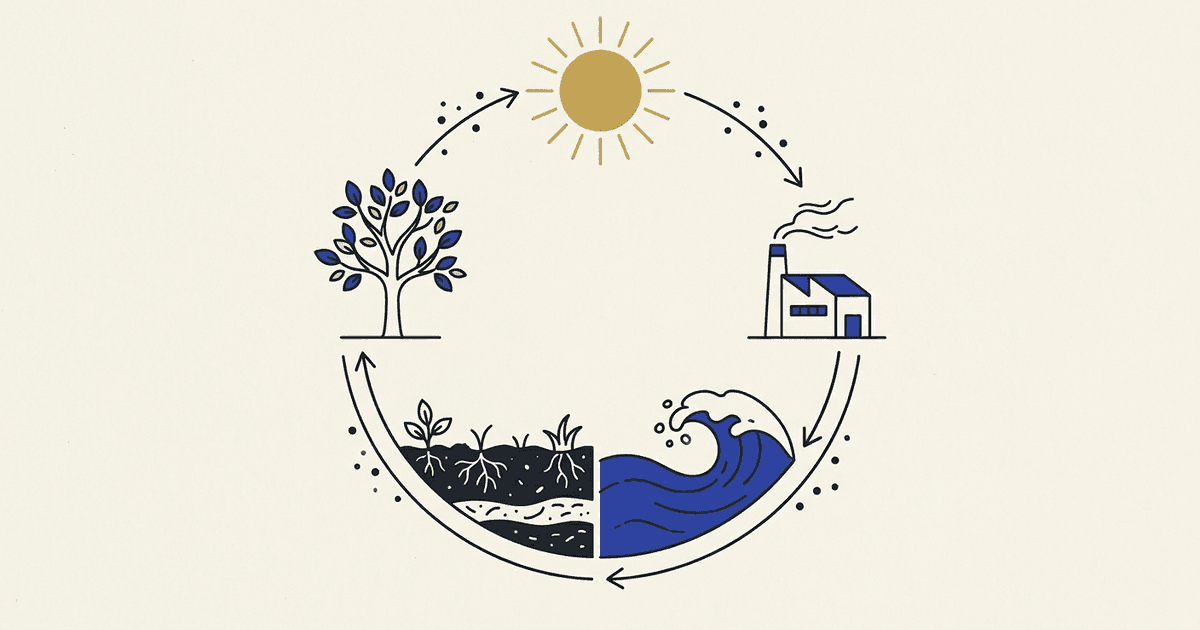 A diagram showing the movement of carbon through the atmosphere, biosphere, hydrosphere, and geosphere